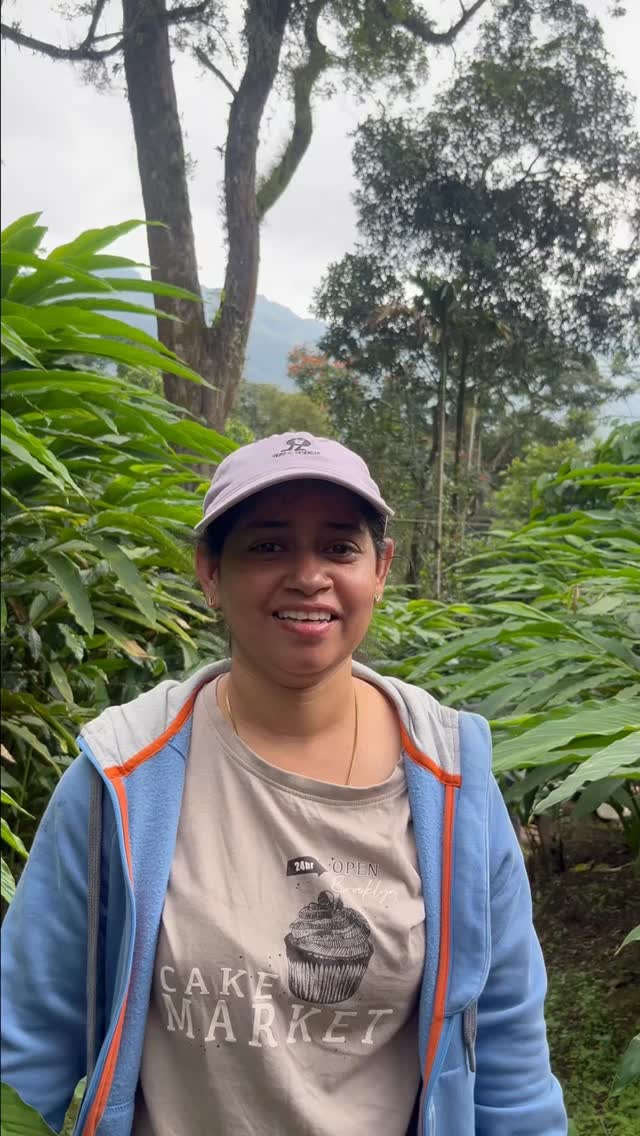 Munnar Solo Guest