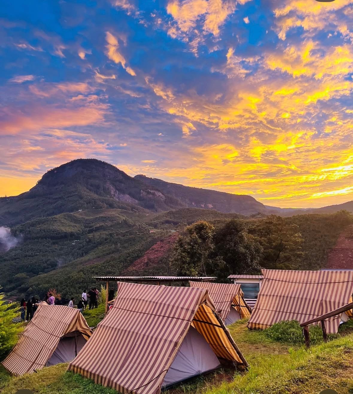 Vattavada Hill Side Camping in Kottakamboor
