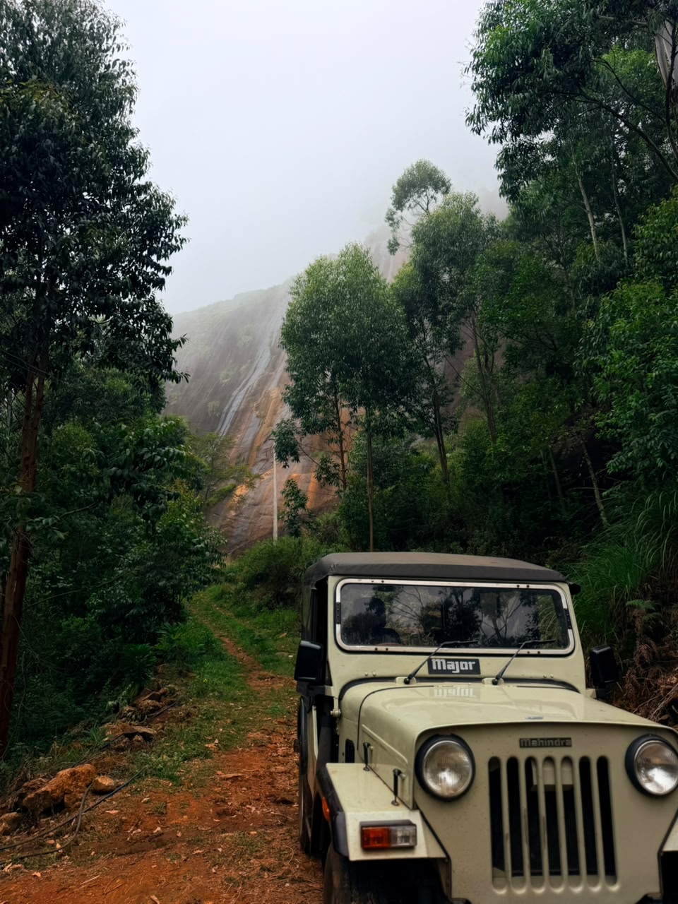 Suryanelli Forest Camping in Suryanelli