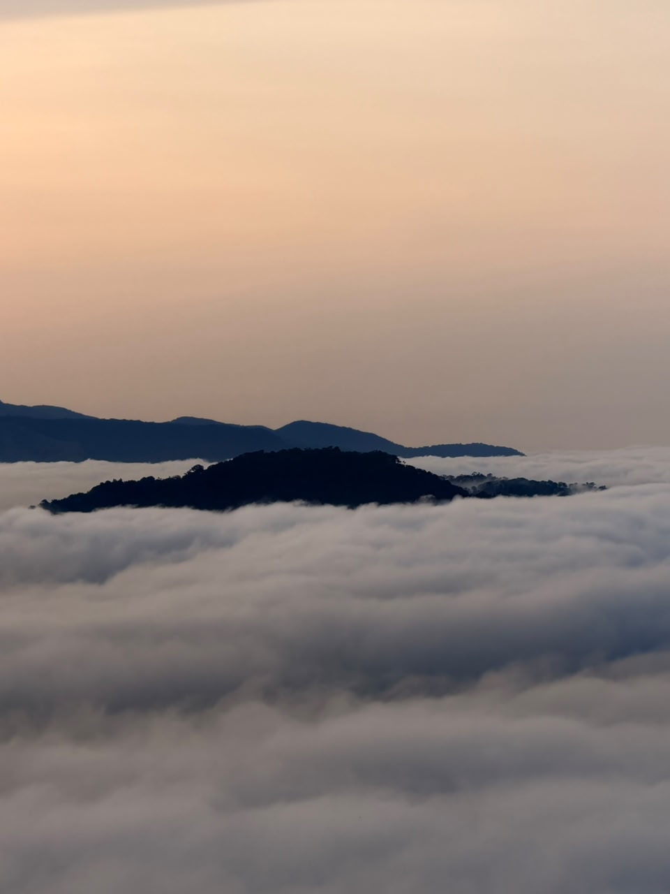 Munnar hill station landscape