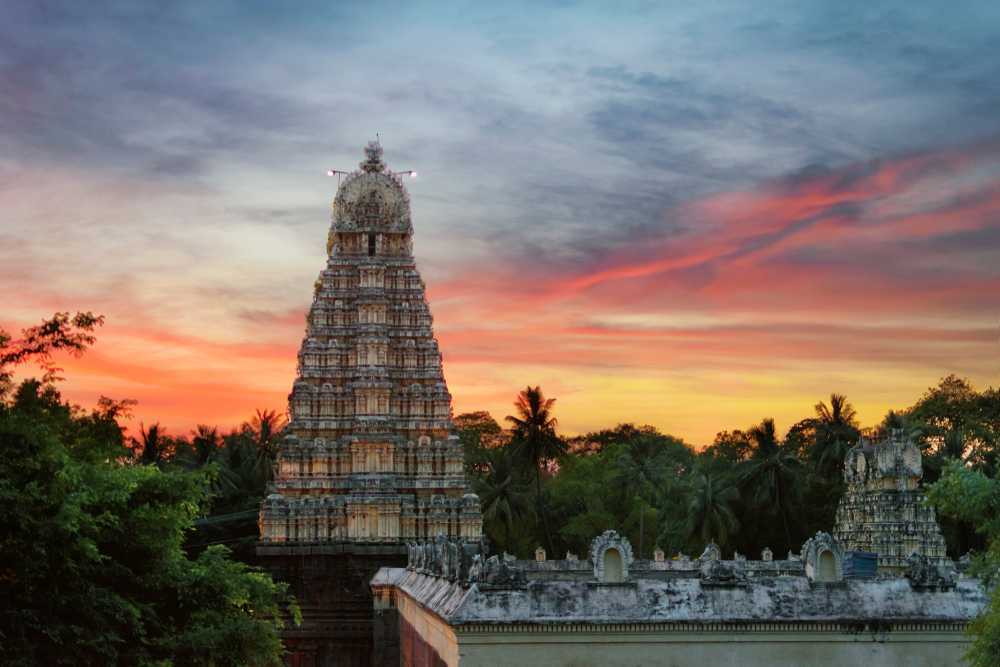 Vellore city view