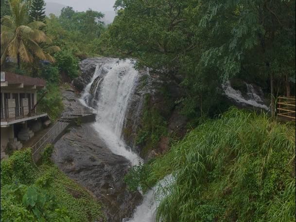 Munnar Couple Package Madurai in Madurai Kochi Munnar