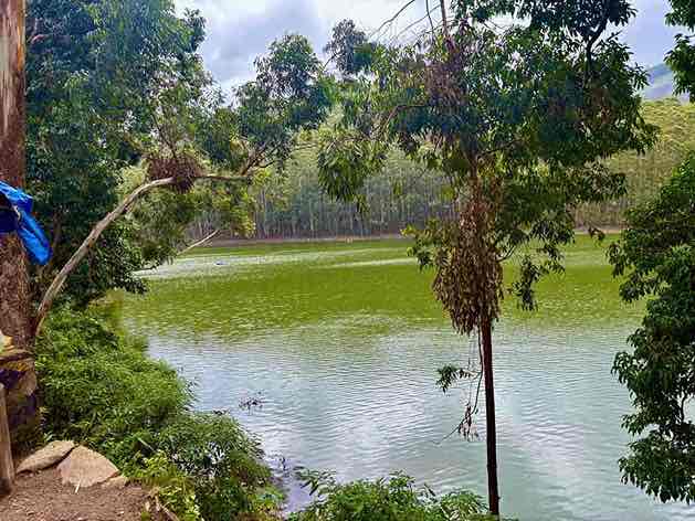 Munnar Adventure Jeep Safari Package (3 Nights / 4 Days) from Bangalore in Kochi Airport / Ernakulam Railway Station