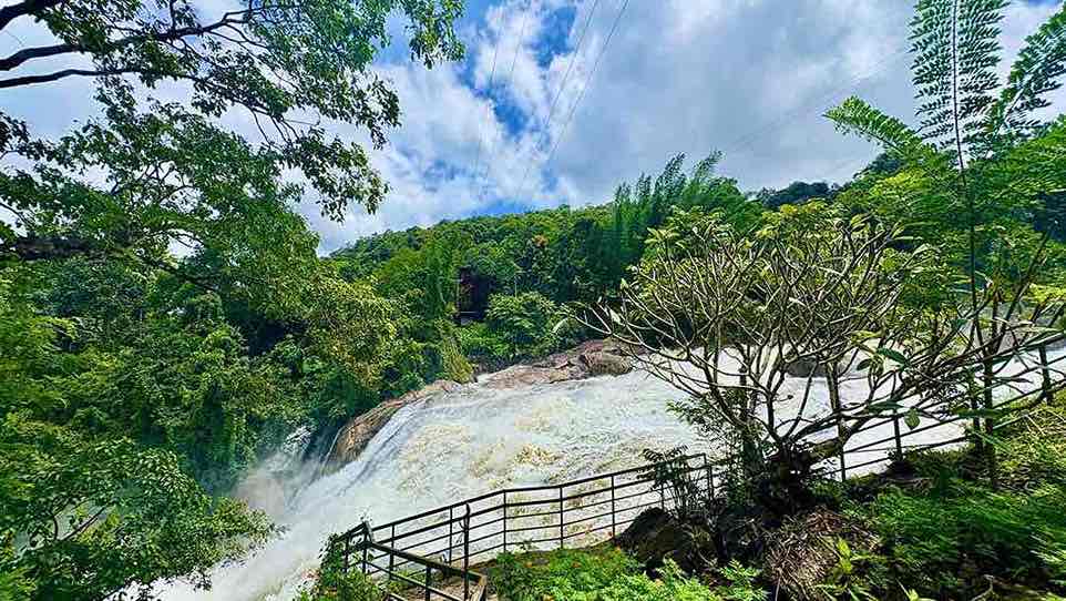 Munnar Family Holiday Package (3 Nights / 4 Days) from Kochi in Kochi Airport / Ernakulam Railway Station