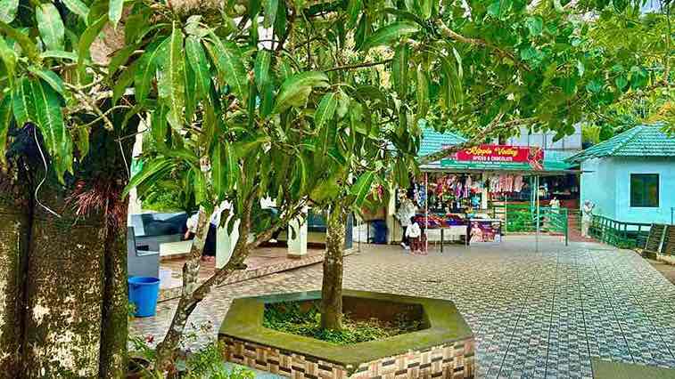 Kerala Luxury Tour Package with Private Pool Villa & Houseboat (6 Nights / 7 Days) from Kochi in Kochi Airport / Ernakulam Railway Station