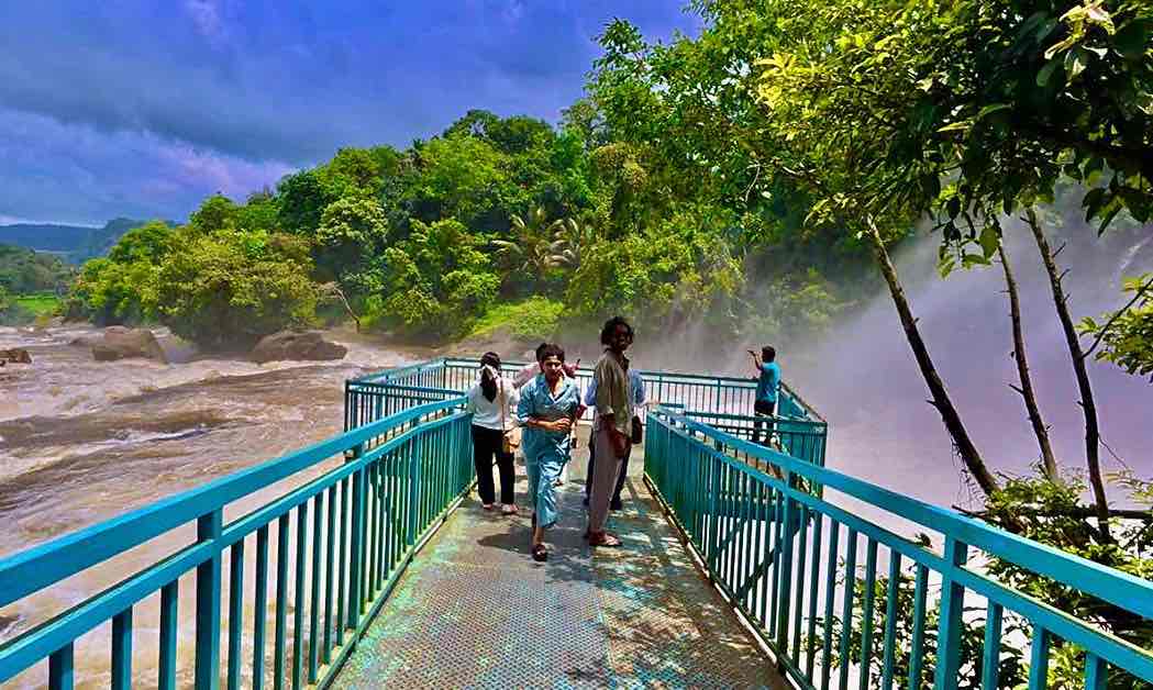 Munnar Off-Road Adventure & Forest Stay Package (3 Nights / 4 Days) from Kochi in Kochi Airport / Ernakulam Railway Station