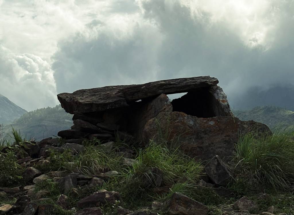 Munnar Adventure Jeep Safari Package (3 Nights / 4 Days) from Theni in Kochi Airport / Ernakulam Railway Station
