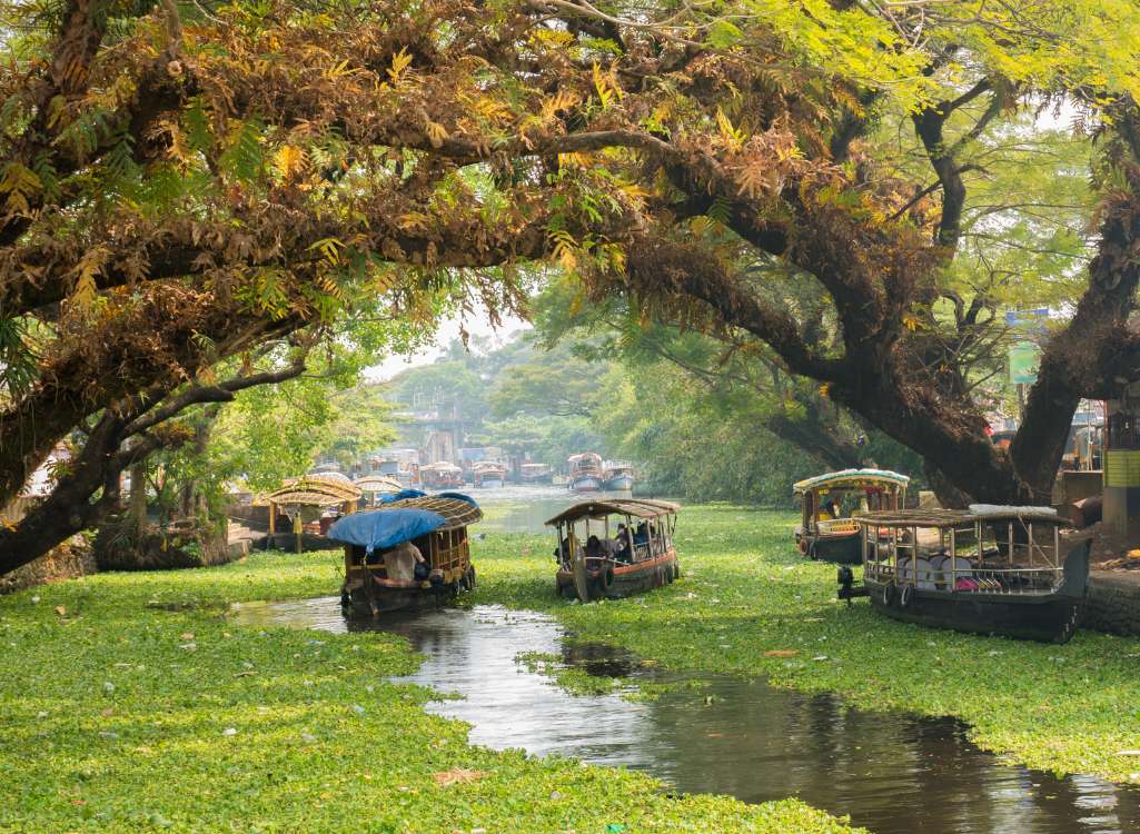 Munnar Adventure Tour Package (3 Nights / 4 Days) from Madurai in Kochi Airport / Ernakulam Railway Station