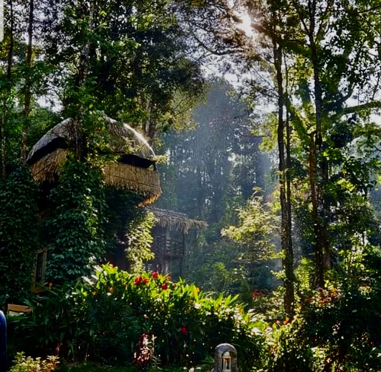 2 Nights / 3 Days Budget Munnar Couple Package in Munnar