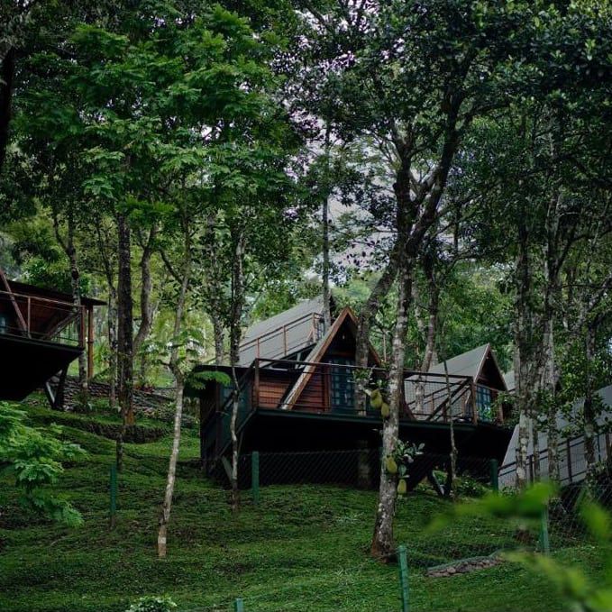 Munnar Couple Package in Munnar