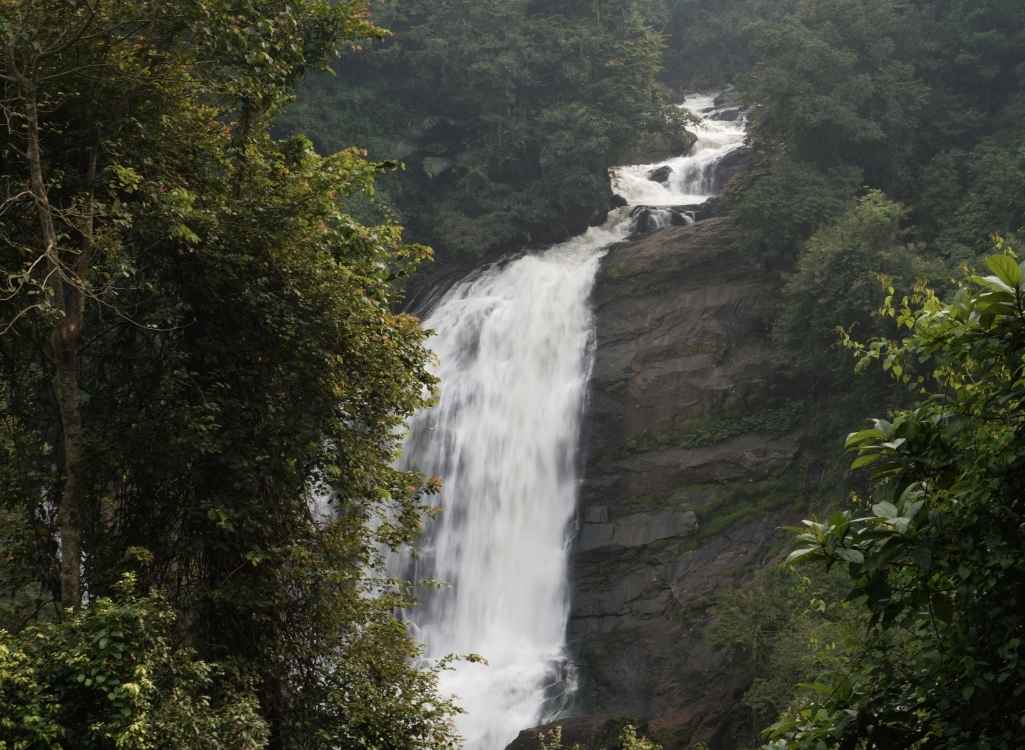 Munnar, Kolukkumalai Sunrise & Vattavada Adventure Package (3 Nights / 4 Days) from Kochi in Kochi Airport / Ernakulam Railway Station
