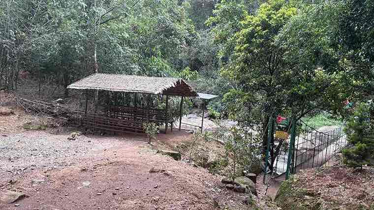 Wayanad & Munnar Tour Package (5 Nights / 6 Days) from Theni in Calicut (Kozhikode) Airport / Railway Station
