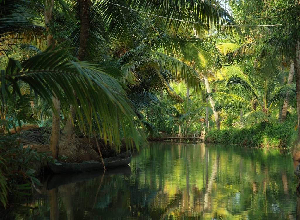 Munnar Premium Adventure & Luxury Pool Villa Package (3 Nights / 4 Days) from Madurai in Kochi Airport / Ernakulam Railway Station
