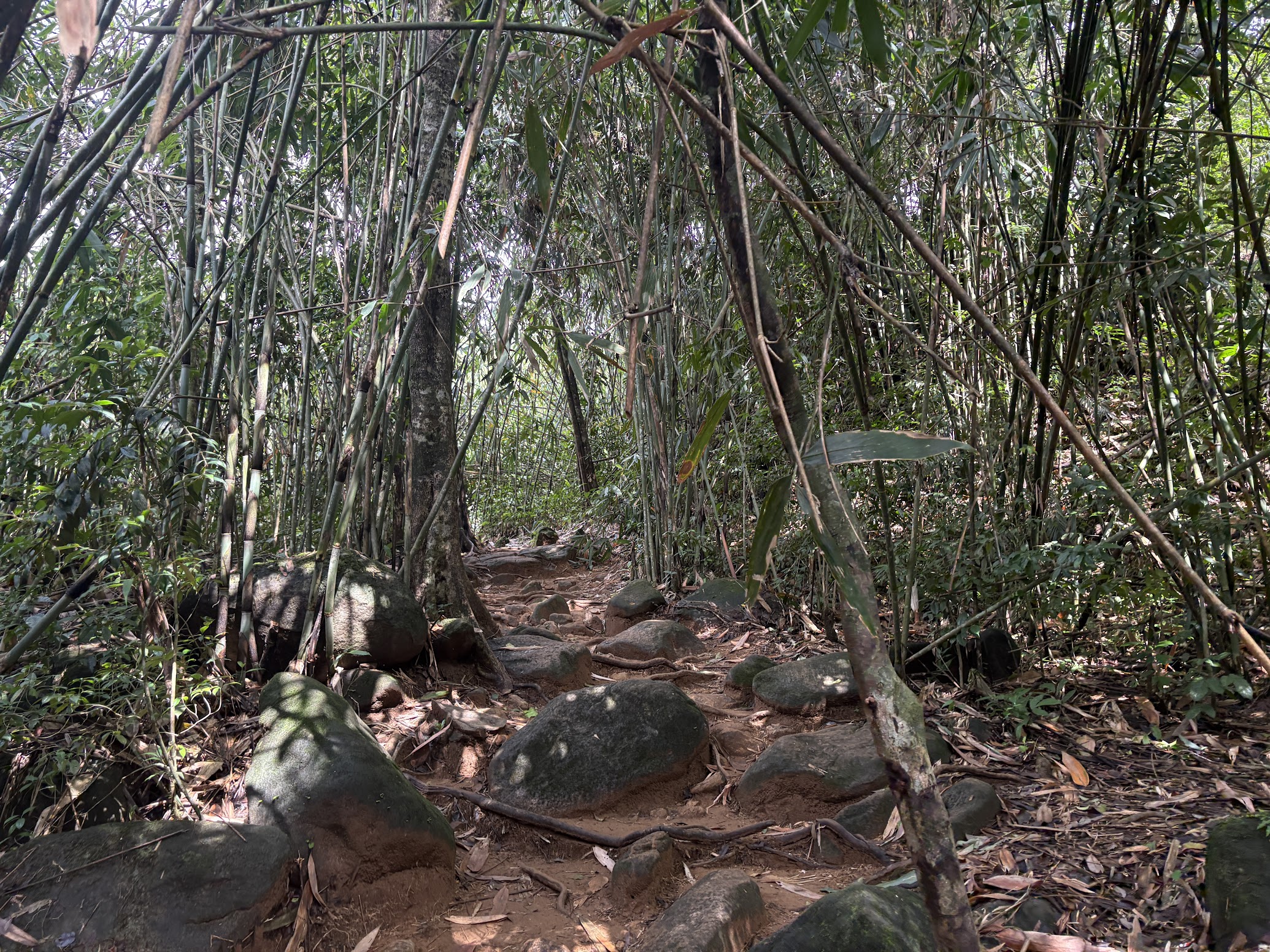 Munnar Adventure Tour Package (2 Nights / 3 Days) from Chennai in Kochi Airport / Ernakulam Railway Station
