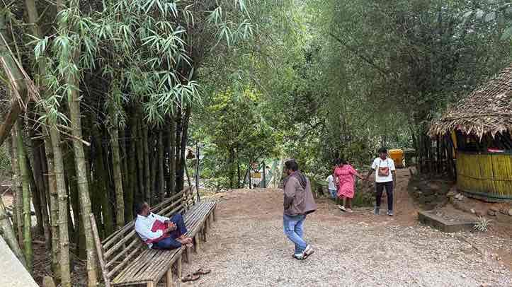 Munnar Budget Tour Package (1 Night / 2 Days) from Theni in Kochi Airport / Ernakulam Railway Station