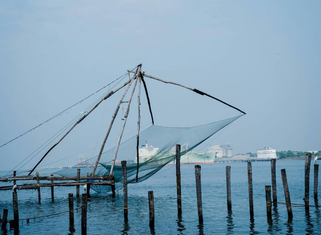 2 Night Munnar Package in Kochi - Munnar - Kochi