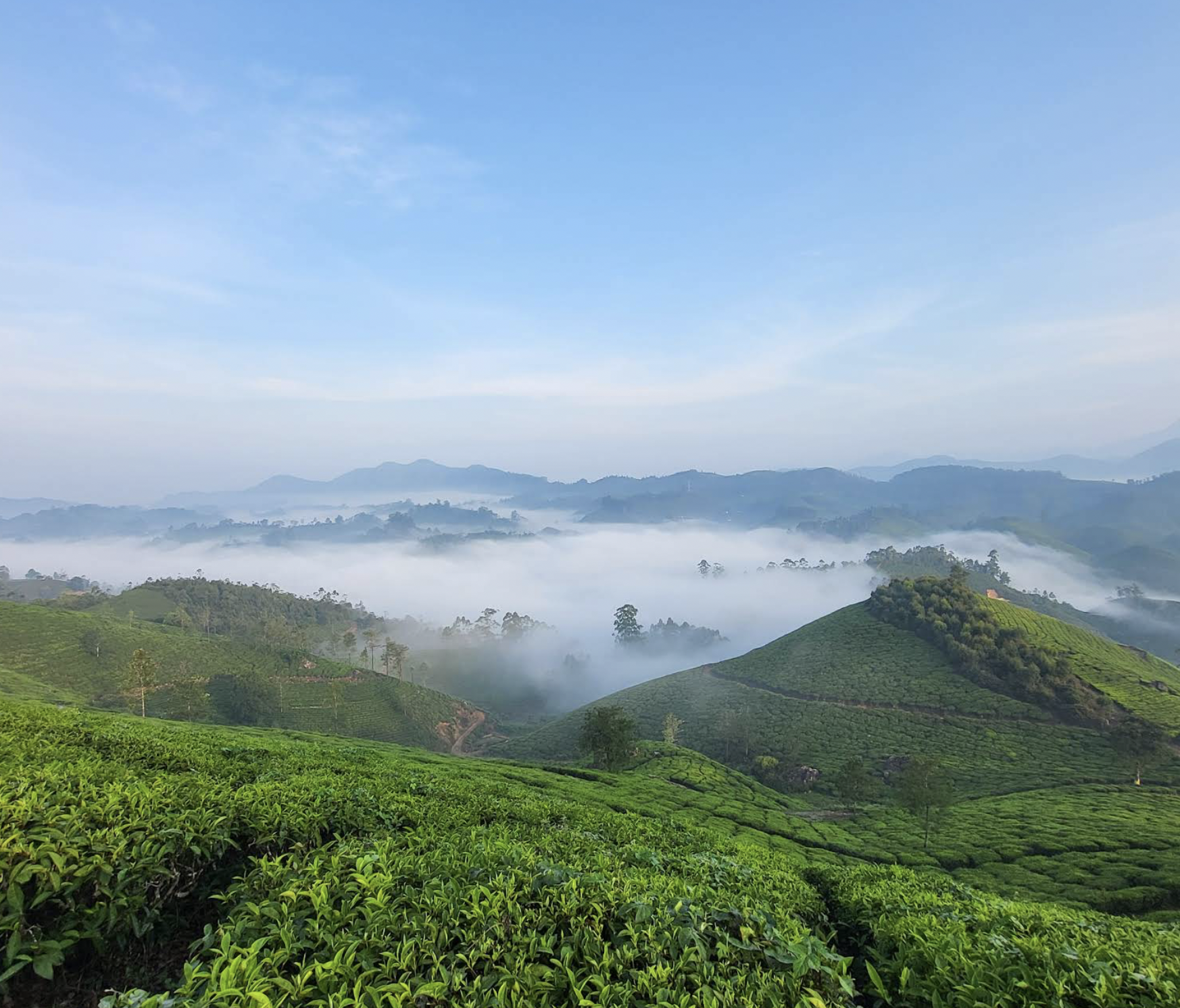 Munnar Weekend Tour Package (2 Nights / 3 Days) from Theni in Kochi Airport / Ernakulam Railway Station