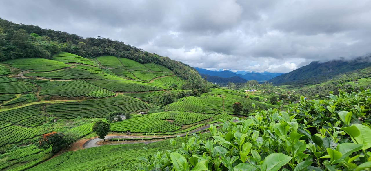Munnar Premium Adventure & Luxury Pool Villa Package (3 Nights / 4 Days) from Chennai in Kochi Airport / Ernakulam Railway Station