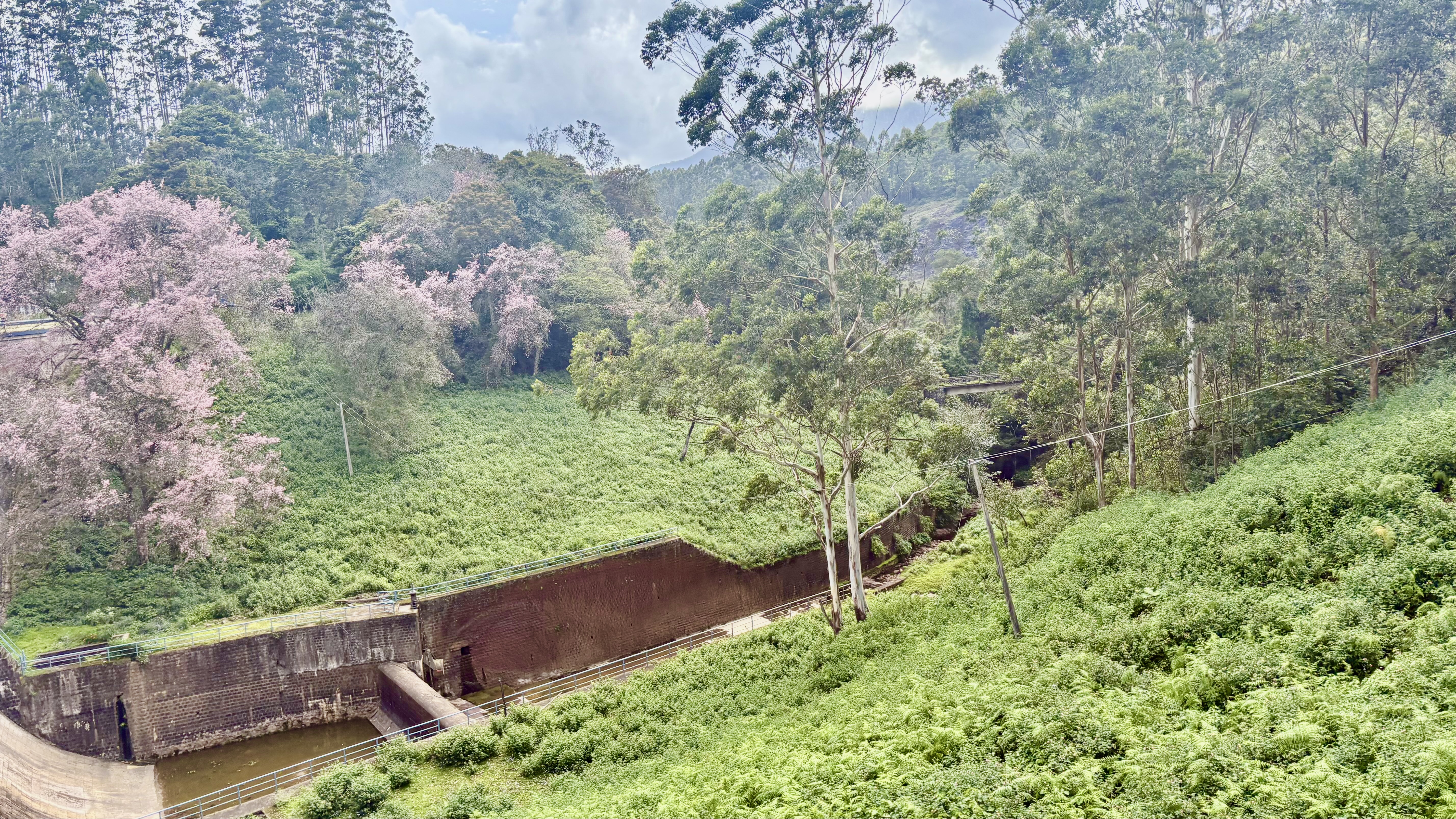 Munnar Budget Tour Package (1 Night / 2 Days) from Kochi in Kochi Airport / Ernakulam Railway Station