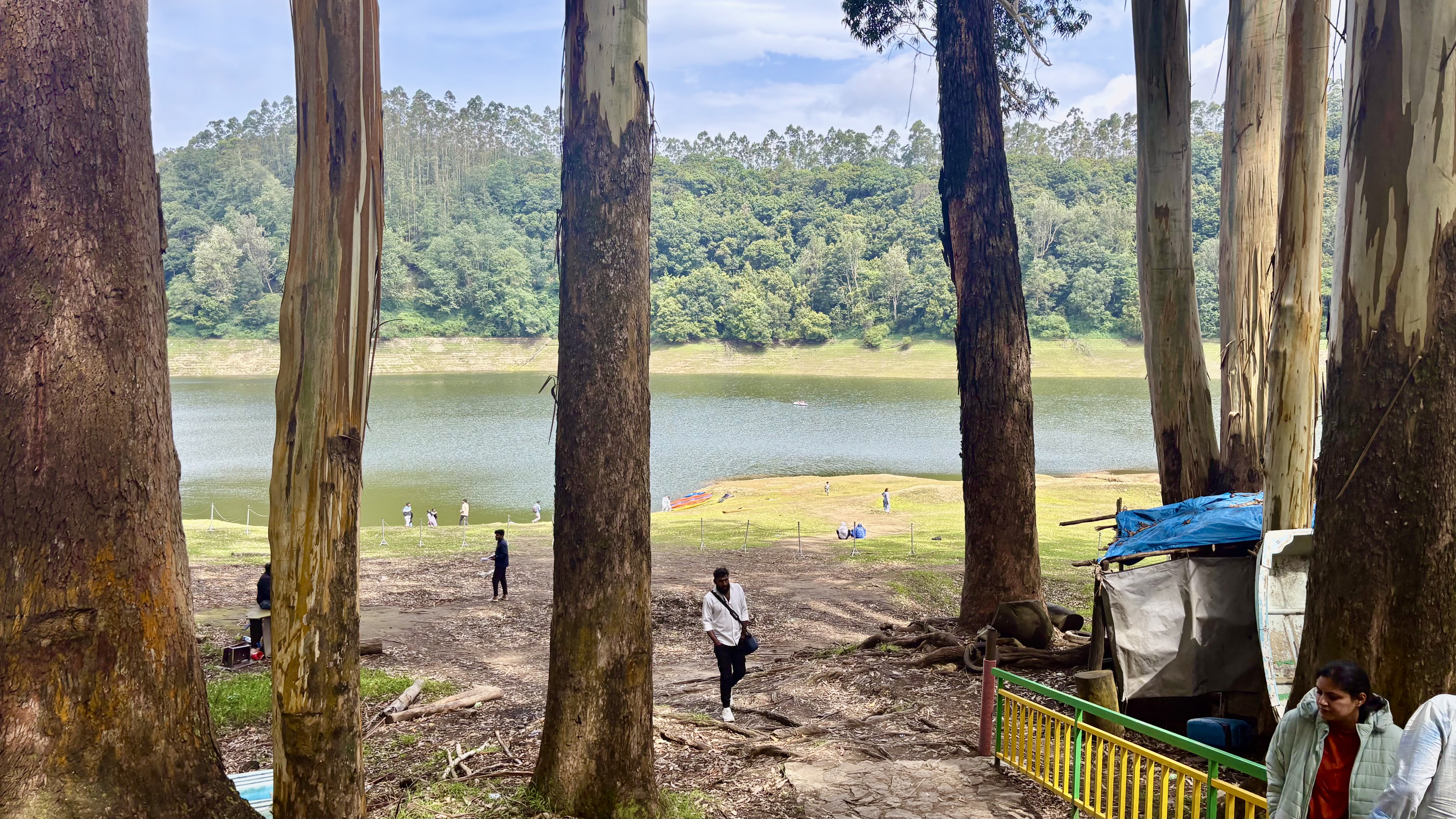 Kerala Honeymoon Package – Munnar, Thekkady & Alleppey Houseboat (5 Nights / 6 Days) from Bangalore in Kochi Airport / Ernakulam Railway Station
