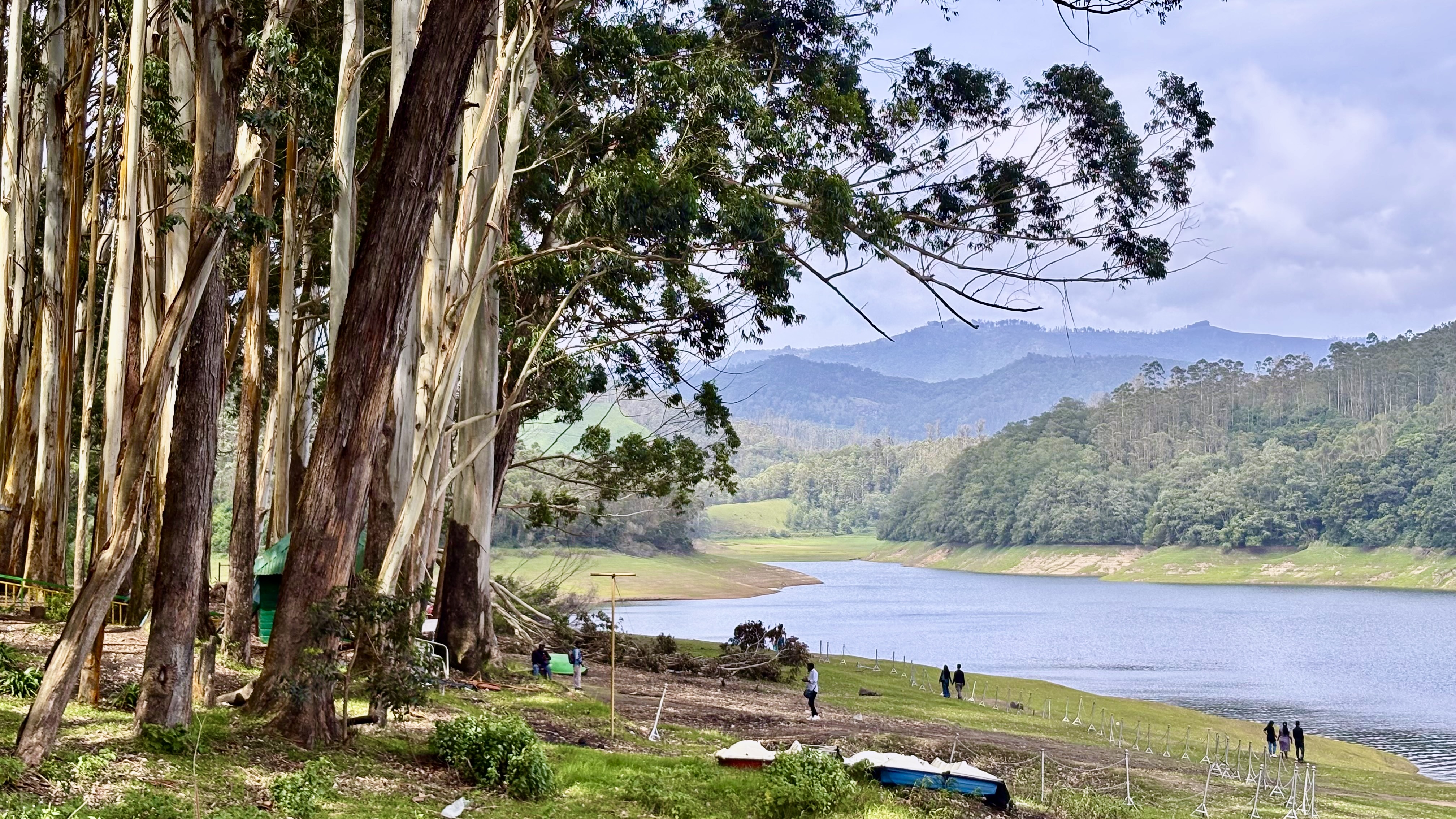 Munnar, Thekkady & Alleppey Houseboat Package (5 Nights / 6 Days) from Kochi in Kochi Airport / Ernakulam Railway Station