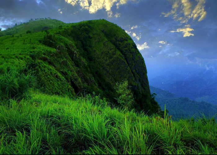 Nadukani Viewpoint