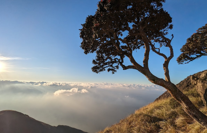 Chokramudi Sunrise Jeep Safari in Munnar - Gap Road