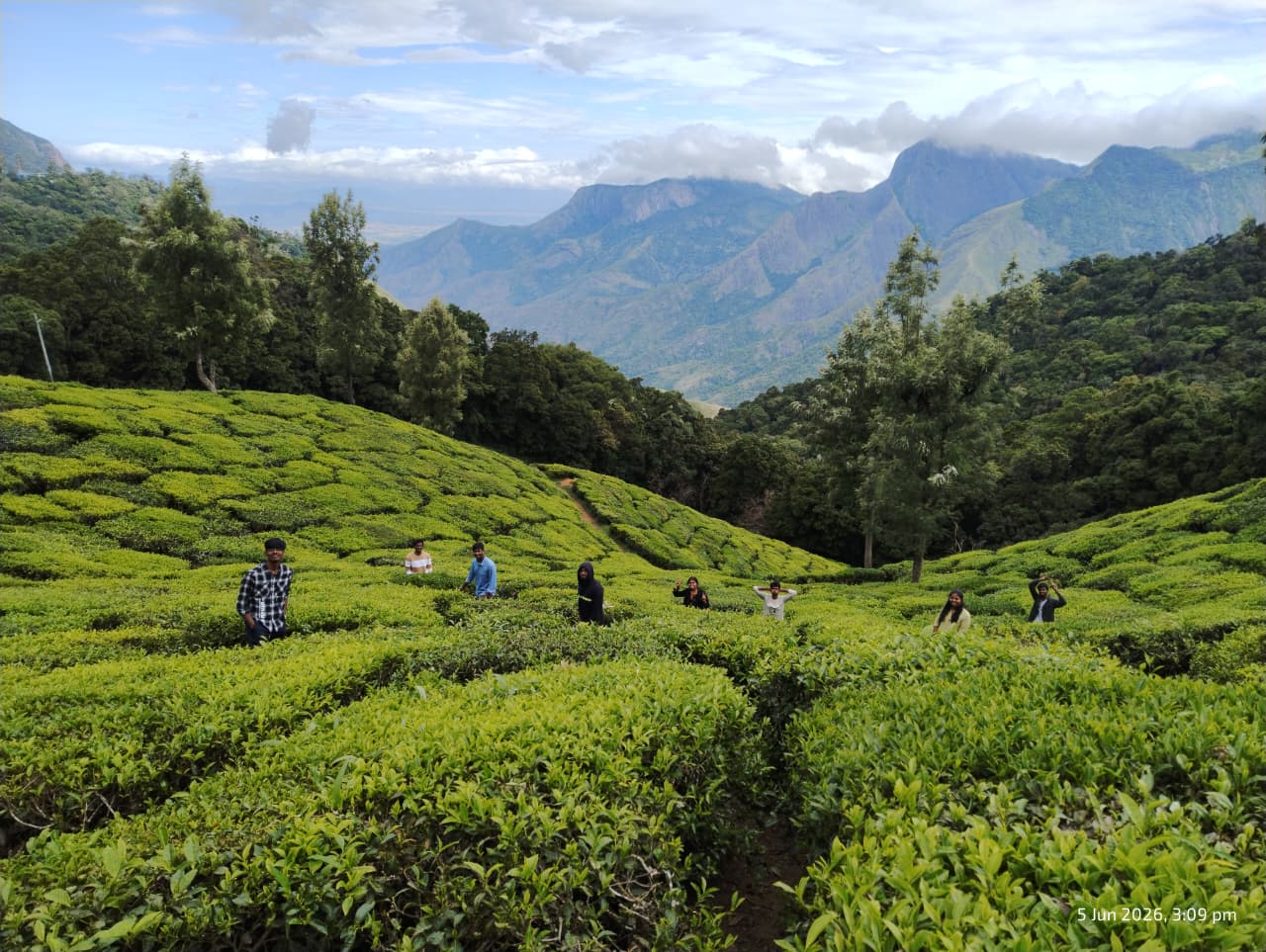 Munnar Off-Road Adventure & Forest Stay Package (3 Nights / 4 Days) from Chennai in Kochi Airport / Ernakulam Railway Station