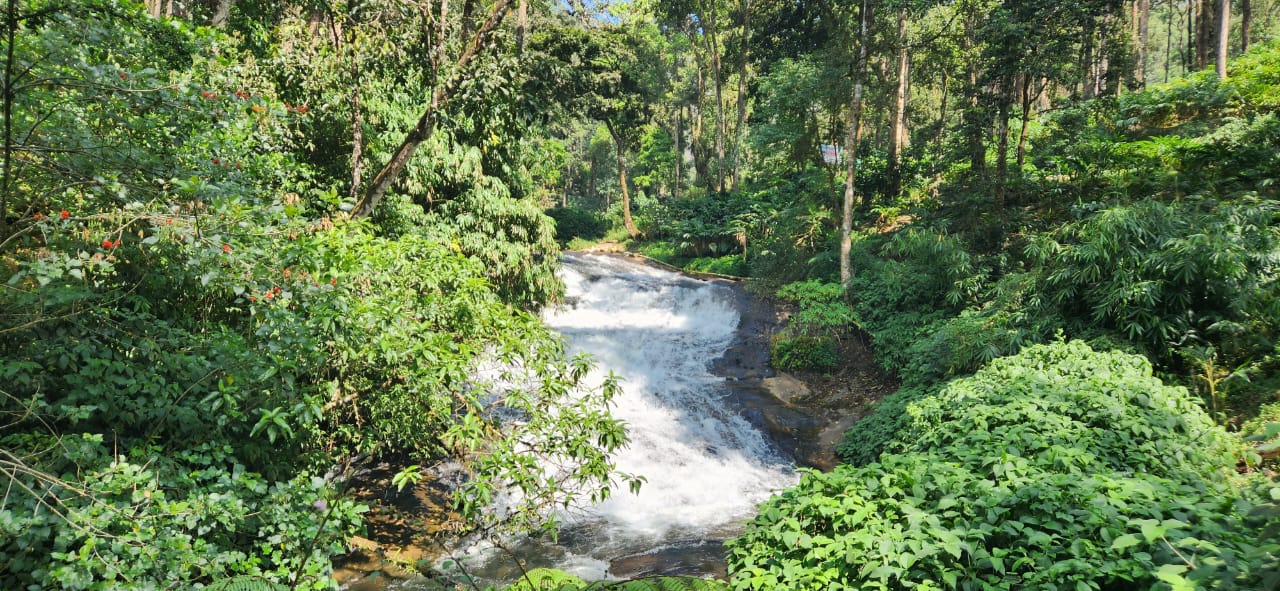 Munnar Weekend Tour Package (2 Nights / 3 Days) from Chennai in Kochi Airport / Ernakulam Railway Station
