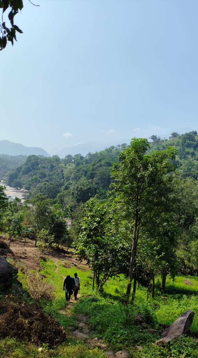 Marayoor Forest Camping in Marayoor
