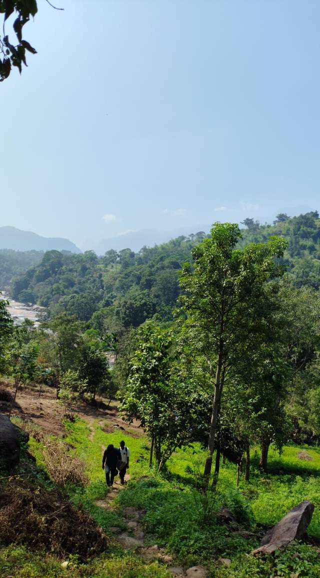 Marayoor Forest Camping in Marayoor