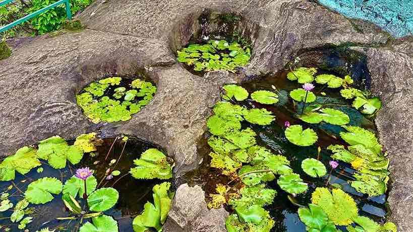 Kerala Luxury Tour Package with Private Pool Villa & Houseboat (6 Nights / 7 Days) from Vellore in Kochi Airport / Ernakulam Railway Station