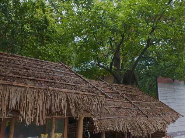 Munnar, Thekkady & Alleppey Houseboat Package (5 Nights / 6 Days) from Trichy in Kochi Airport / Ernakulam Railway Station