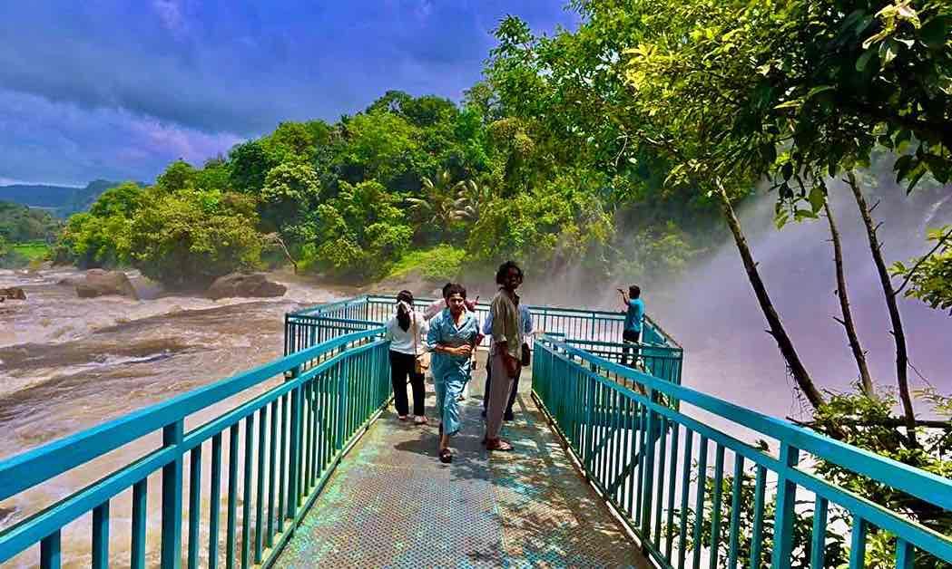 Munnar Off-Road Adventure & Forest Stay Package (3 Nights / 4 Days) from Kochi in Kochi Airport / Ernakulam Railway Station