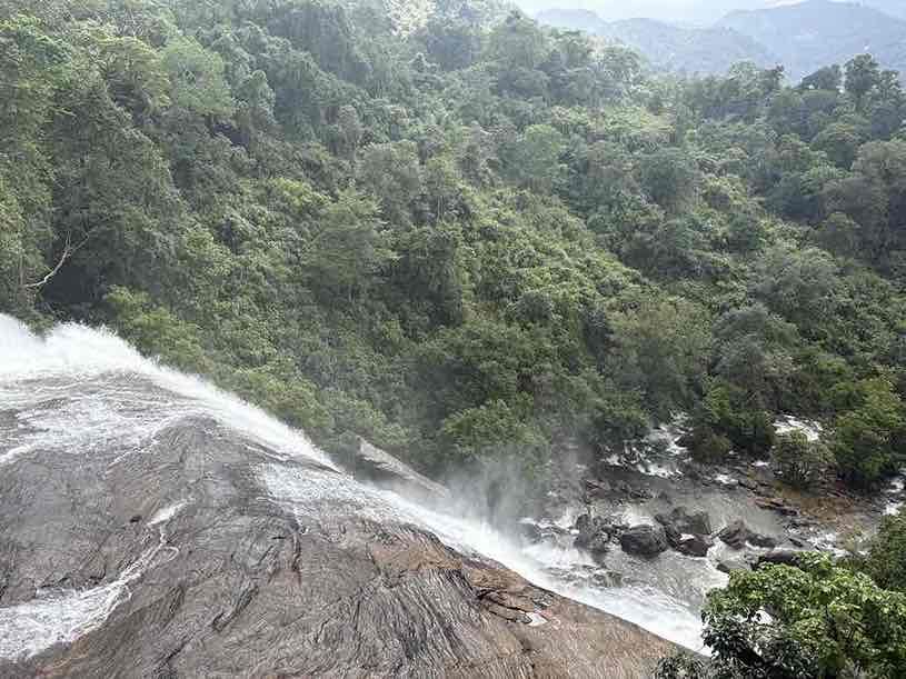 Munnar, Vagamon & Thekkady Tour Package (5 Nights / 6 Days) from Trichy in Kochi Airport / Ernakulam Railway Station