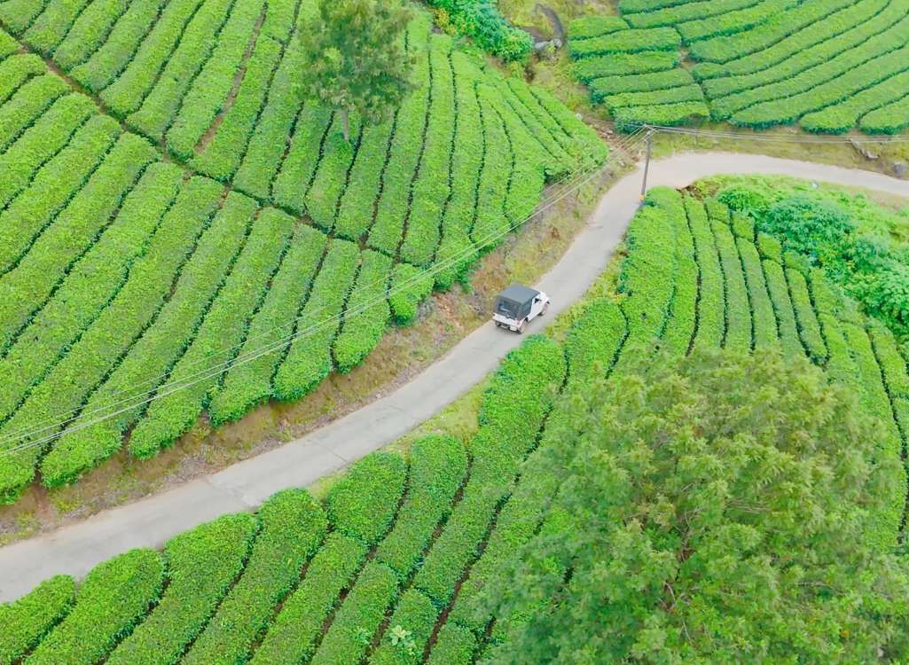 Munnar Premium Adventure & Luxury Pool Villa Package (3 Nights / 4 Days) from Trichy in Kochi Airport / Ernakulam Railway Station
