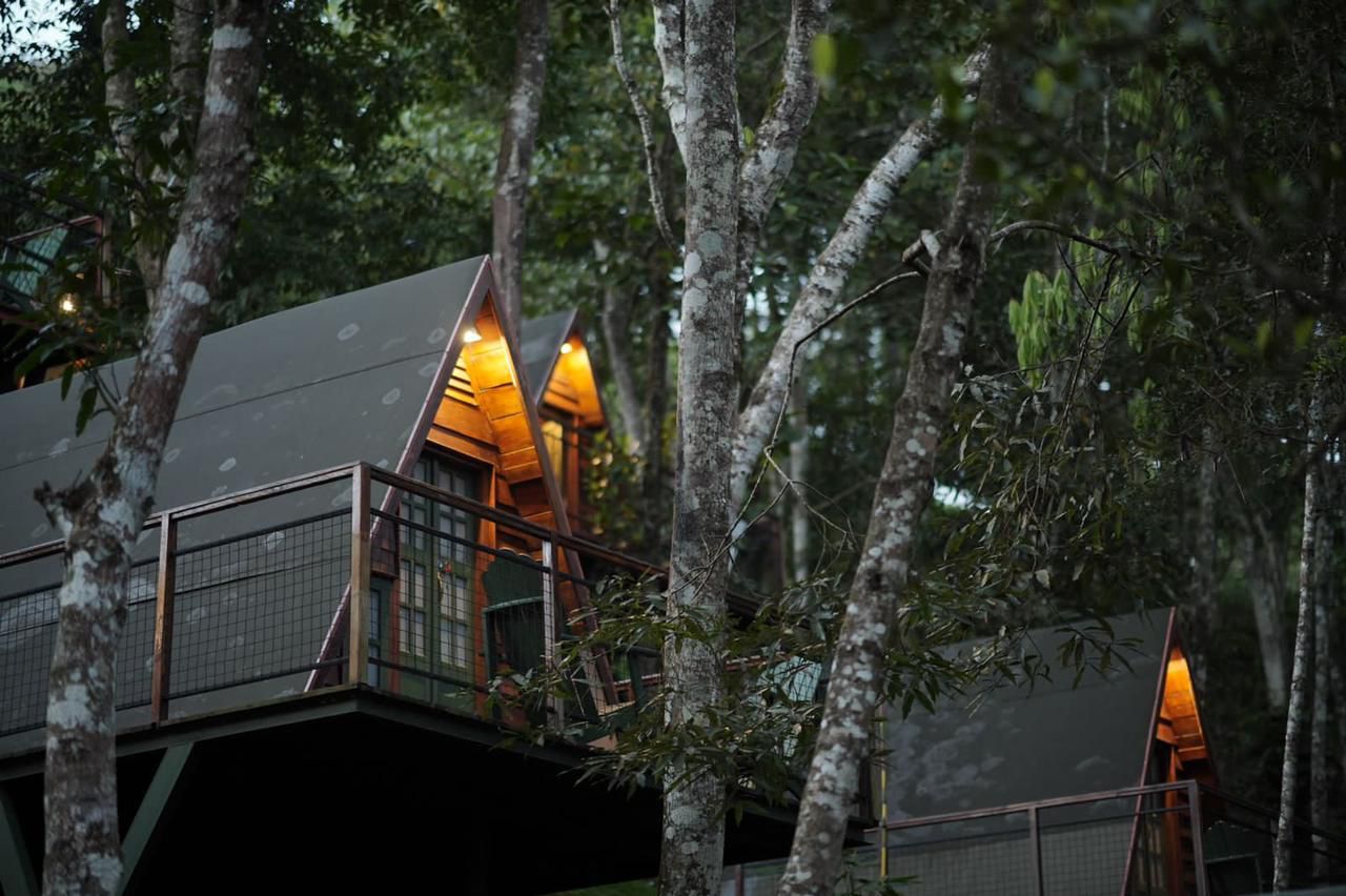 Munnar, Vagamon & Alleppey Houseboat Package (5 Nights / 6 Days) in Kochi Airport / Ernakulam Railway Station
