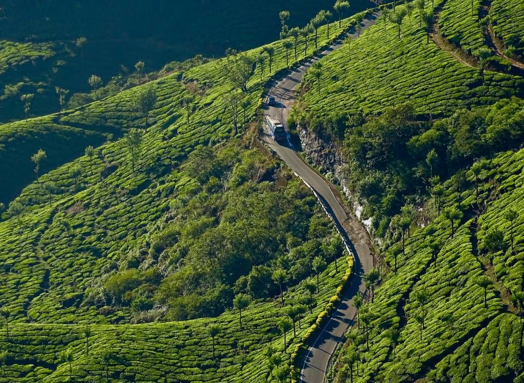 Munnar Couple Package from Salem in Munnar