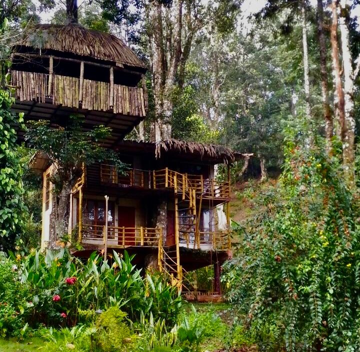 Munnar Luxury Honeymoon Package (2 Nights / 3 Days) from Erode in Kochi Airport / Ernakulam Railway Station