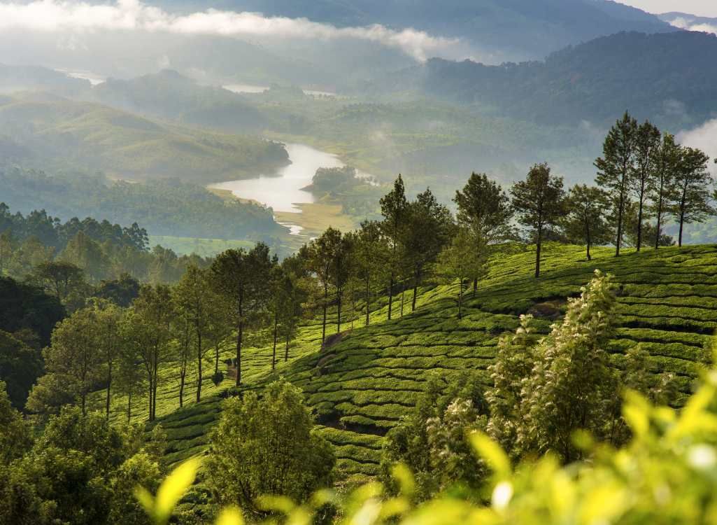 Munnar Couple Package from Bangalore in Munnar