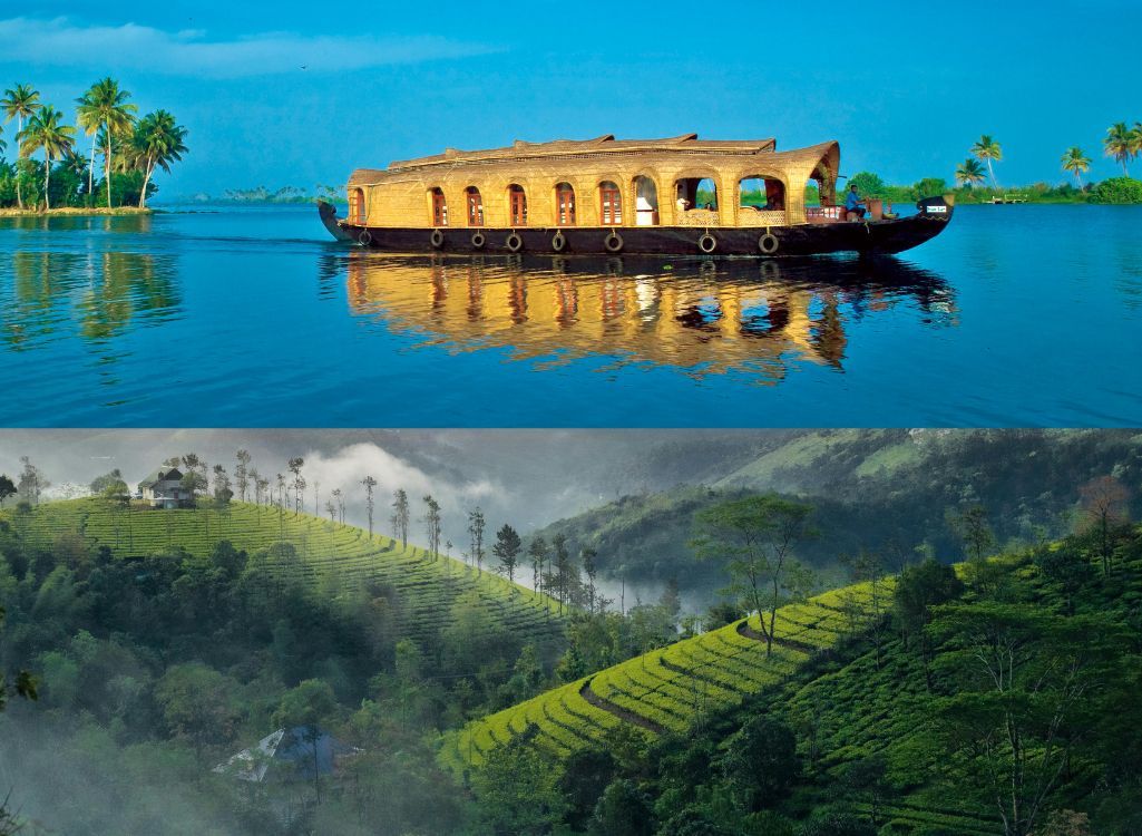 Munnar Couple Package from Kochi in Munnar