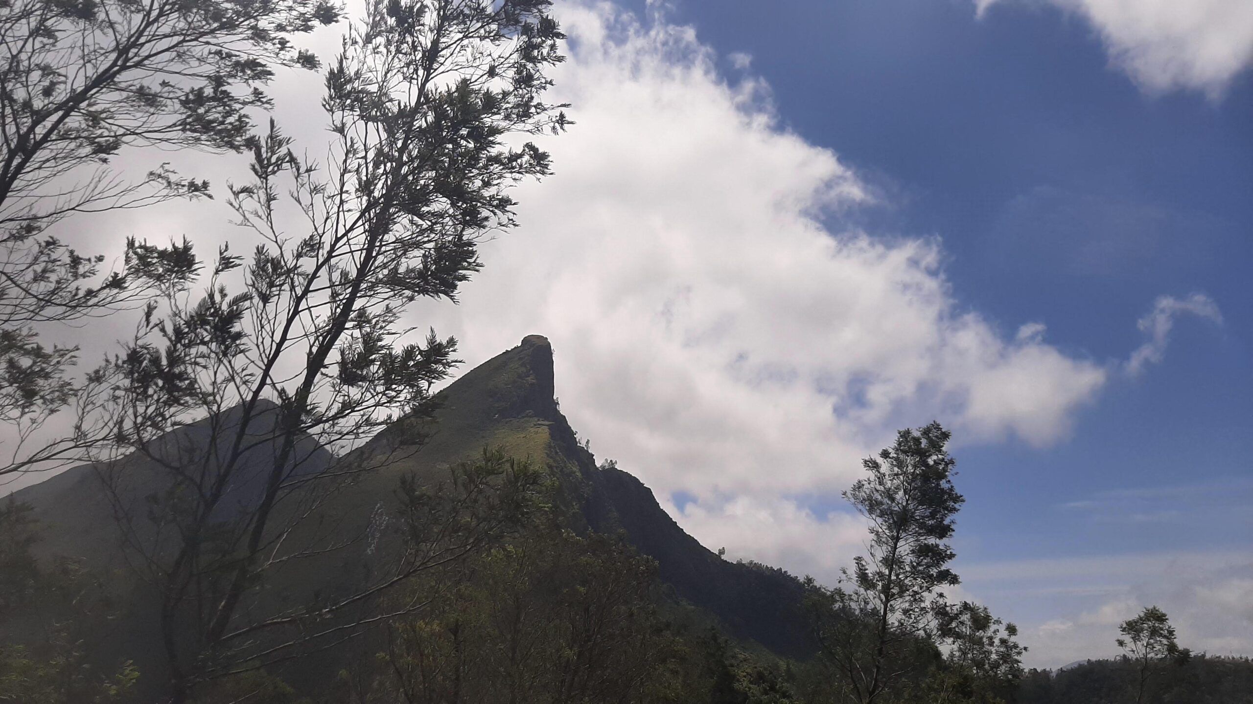 Munnar Adventure Tour Package (2 Nights / 3 Days) from Trichy in Kochi Airport / Ernakulam Railway Station