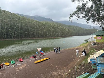 Munnar & Thekkady Wildlife Tour Package (4 Nights / 5 Days) from Kochi in Kochi Airport / Ernakulam Railway Station