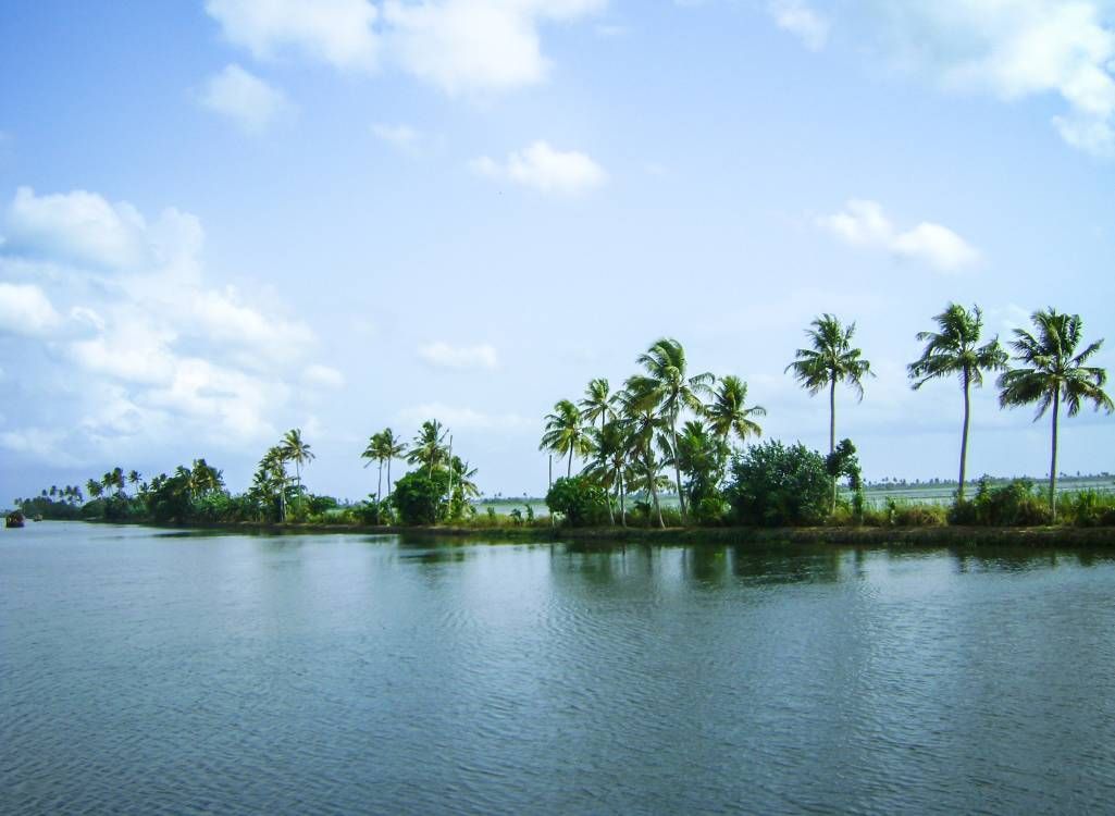 Luxury Munnar Honeymoon Package with Private Pool Villa (3 Nights / 4 Days) in Kochi Airport / Ernakulam Railway Station