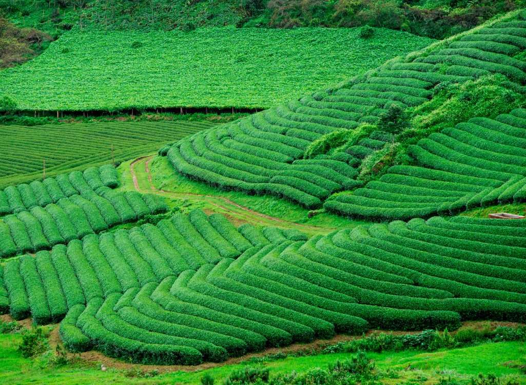 Kerala Group Tour Package (4 Nights / 5 Days) from Bangalore in Kochi Airport / Ernakulam Railway Station
