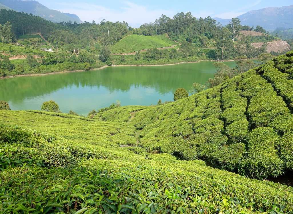 Munnar Couple Camping Package in Suryanelli & Vattavada, Munnar