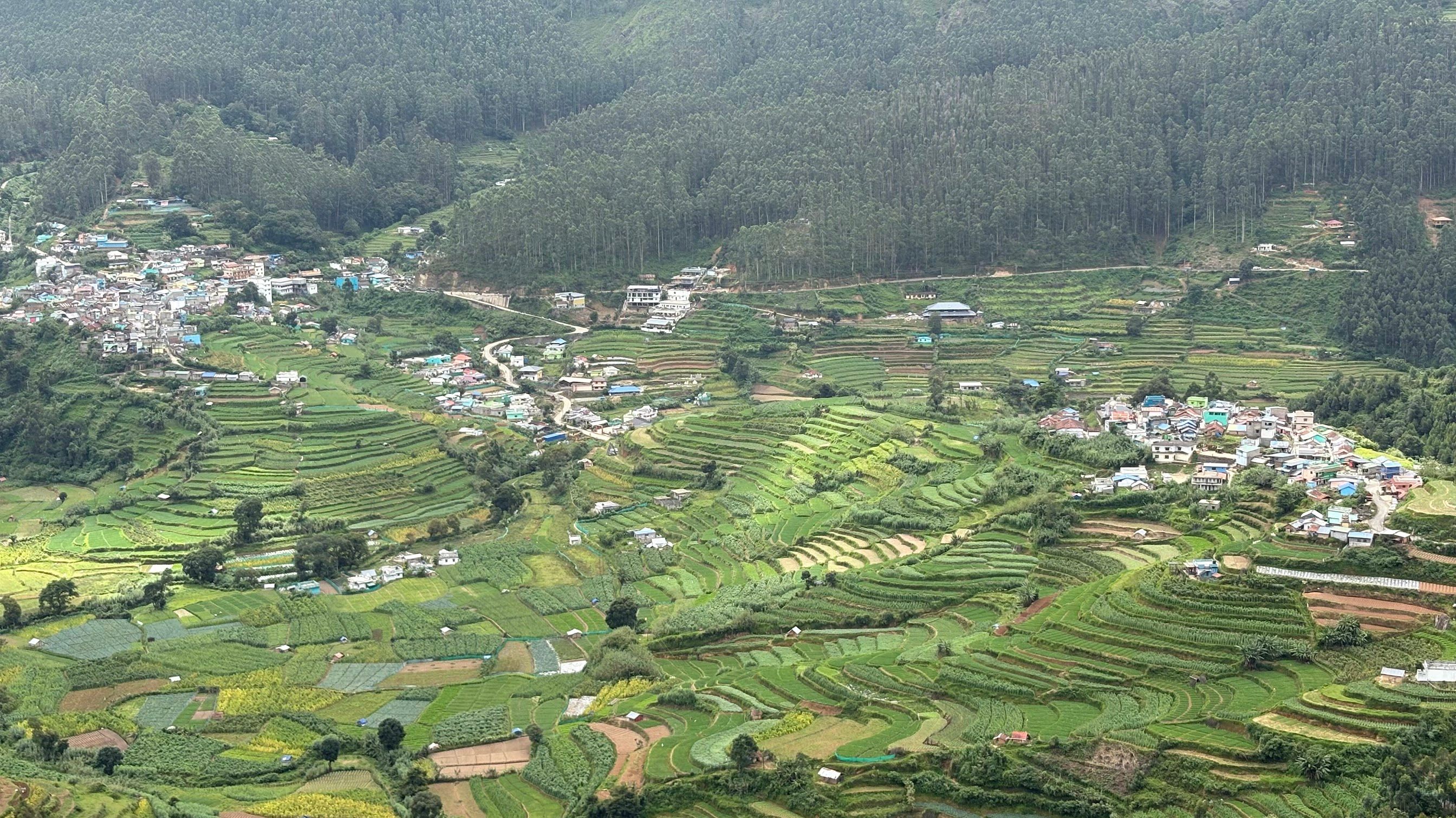Munnar Adventure Tour Package (2 Nights / 3 Days) in Kochi Airport / Ernakulam Railway Station