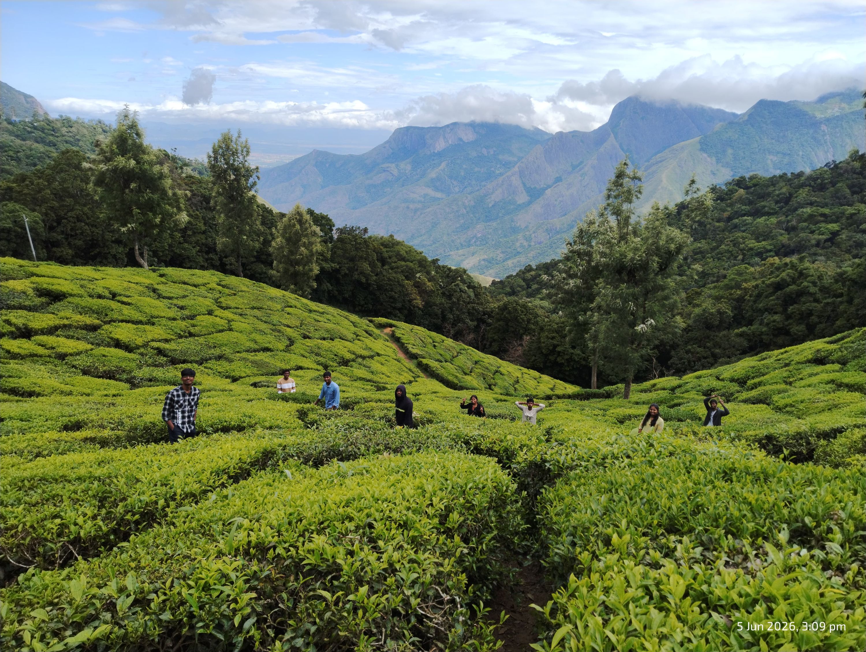 Munnar Romantic Honeymoon Package (3 Nights / 4 Days) from Vellore in Kochi Airport / Ernakulam Railway Station