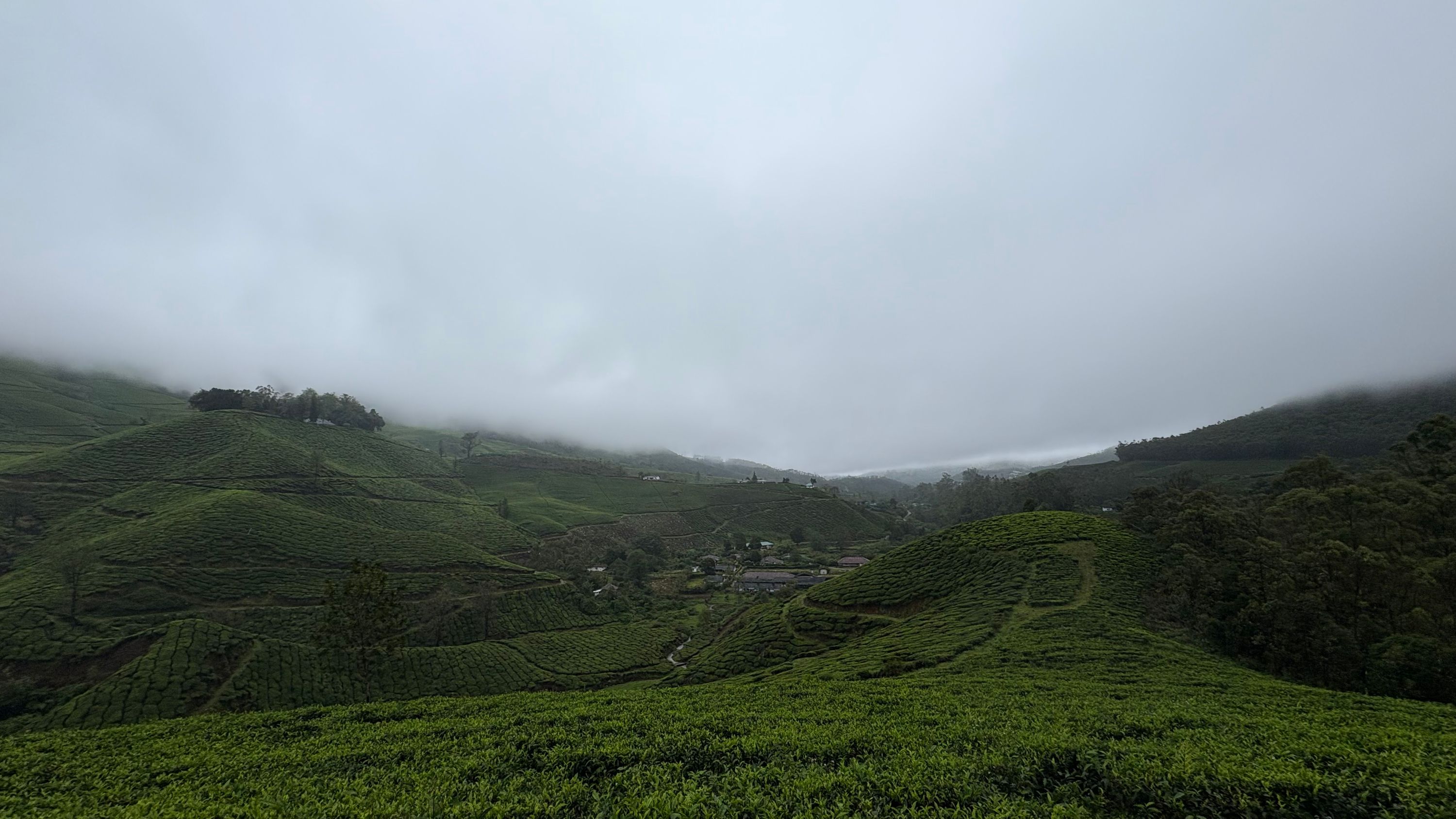 Munnar Private Pool Villa Package (2 Nights / 3 Days) from Theni in Kochi Airport / Ernakulam Railway Station
