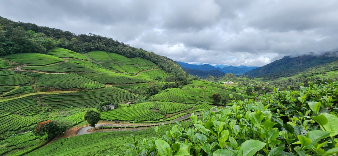 Munnar Premium Adventure & Luxury Pool Villa Package (3 Nights / 4 Days) from Chennai in Kochi Airport / Ernakulam Railway Station
